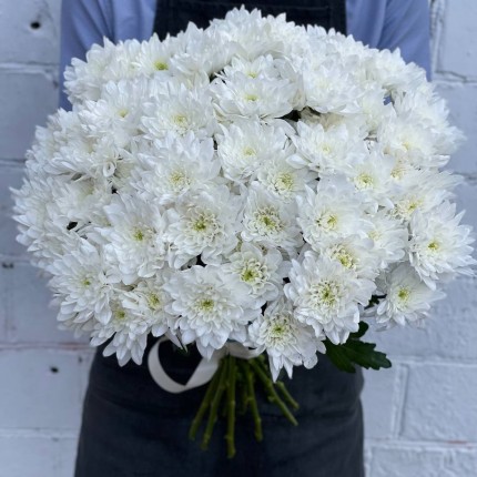 Белая кустовая хризантема - купить с доставкой в Ульяновске