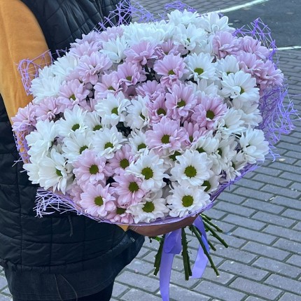 букет из розовой кустовой хризантемы - купить с доставкой в Ульяновске