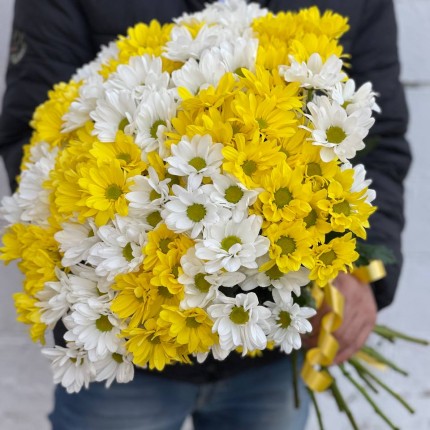 Букет из разноцветных хризантем - купить с доставкой в Ульяновске