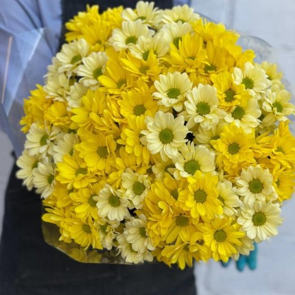 желтая кустовая хризантема - купить с доставкой в Ульяновске